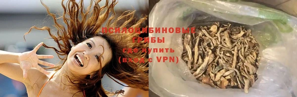 гашик Заволжск