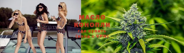 гидра Заводоуковск
