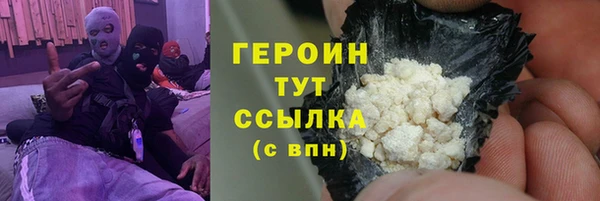 гидра Заводоуковск