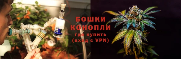гидра Заводоуковск