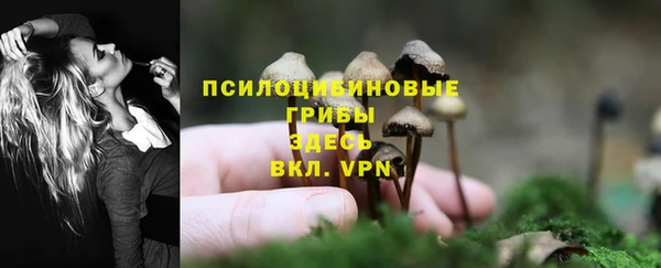 гашик Заволжск