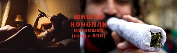 гидра Заводоуковск
