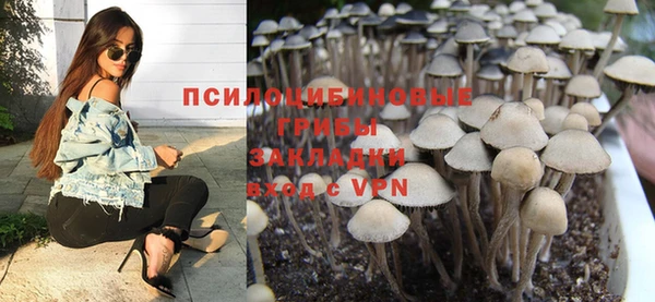 гидра Заводоуковск
