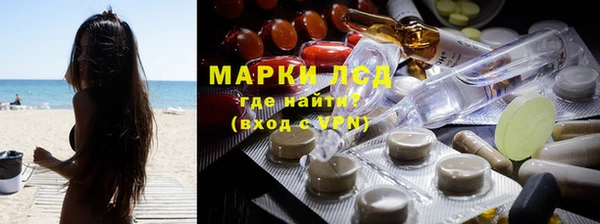 гидра Заводоуковск