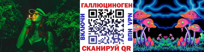 Псилоцибиновые грибы MAGIC MUSHROOMS  блэк спрут сайт  Каменка 