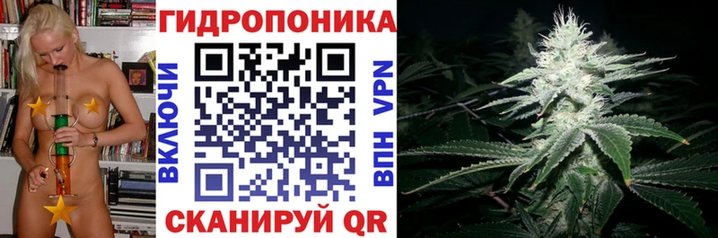 Каннабис индика  Каменка 